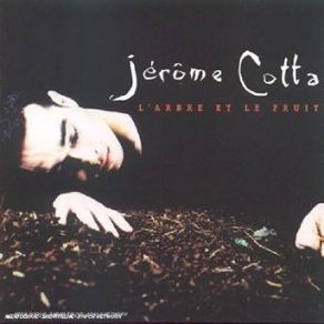 Download track Si Le Temps Jérôme Cotta