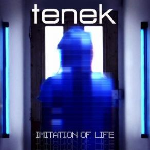 Download track Imitation Of Life (Pale Imitation Remix) Tenek