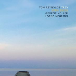 Download track Butterflies Tom Reynolds Trio