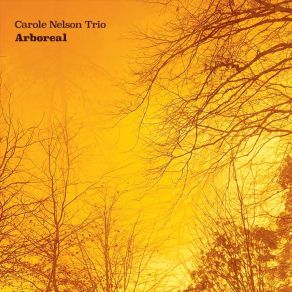 Download track Ar Scáth A Chéile Carole Nelson Trio