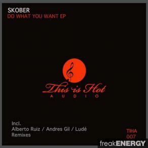 Download track Do What You Want (Original Mix) Skober