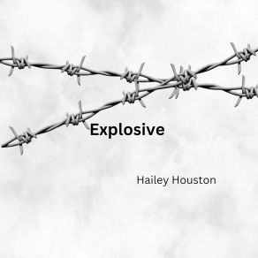 Download track Expense Hailey Houston