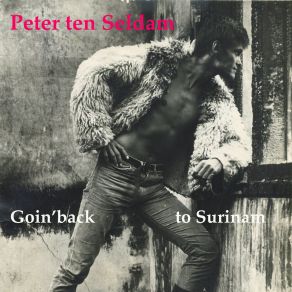 Download track Okay-Okay, Maar... Peter Ten Seldam