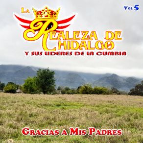 Download track Lejos De Mi Tierra Sus Lideres De La Cumbia