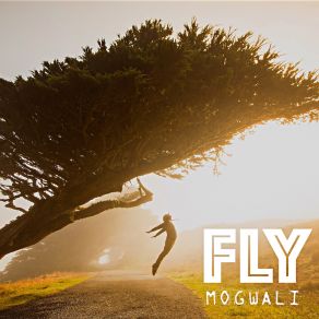 Download track Fly Mogwali