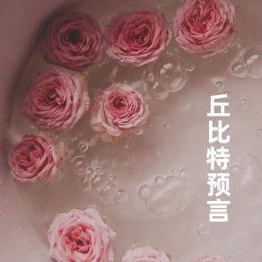 Download track 偏宝 陶洲起