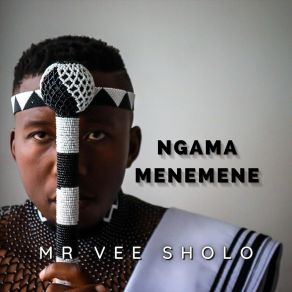 Download track Ngamamenemene Mr Vee Sholo