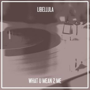 Download track What U Mean 2 Me (Nu Ground Foundation Classic Mix) Libellula