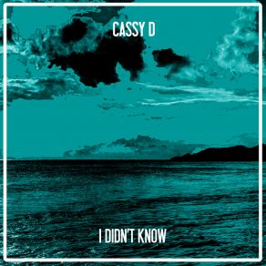 Download track I Didn't Know (Nu Ground Foundation Us Garage Edit) Cassy: D