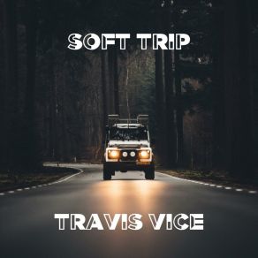 Download track Somber Mood Travis Vice