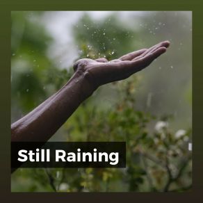 Download track Rain Permit Nature Soundscapes