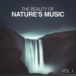 Download track River Sounds: Winds Accross A Stream Relaxing Nature Ambience