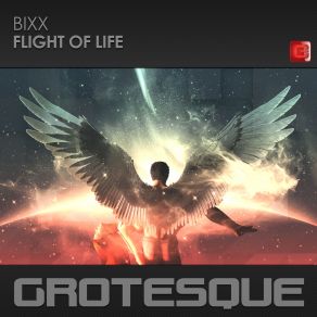 Download track Flight Of Life (Extended Mix) Bixx