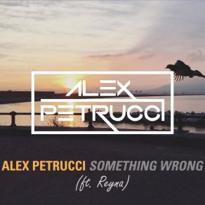 Download track Something Wrong Alex Petrucci