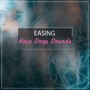 Download track Rain For Bedtime White Noise MeditationSpa, Relaxing Sleep Sound, Raindrops Sleep