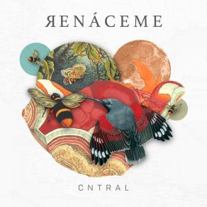 Download track Renáceme Cntral