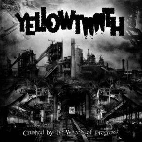 Download track Meet Mr. Mossberg Yellowtooth