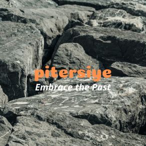 Download track Embrace The Past Pitersiye