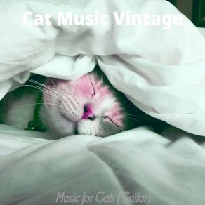 Download track Suave Moods For Cute Cats Cat Music Vintage