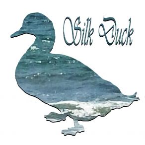 Download track Hold On To Me Silk Duck