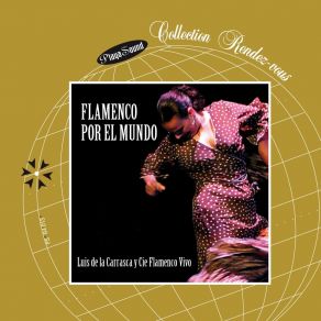 Download track Solea Apola De Isabel Companie Flamenco Vivo