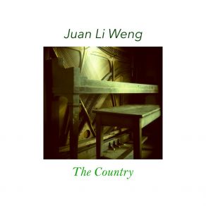 Download track Disarray Juan Li Weng