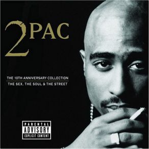 Download track Picture Me Rollin' 2Pac