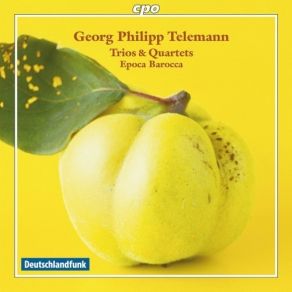 Download track 30. Quadro In E Major - TWV 43: E1 - Tempo Giusto Georg Philipp Telemann