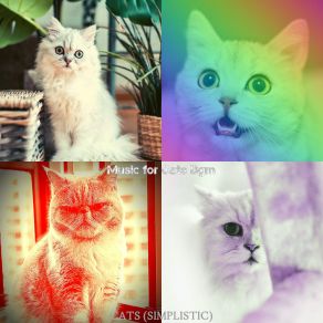 Download track Memories (Cute Kittens) Music For Cats Bgm