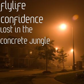 Download track I Want To Flylife Confidence