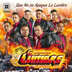 Download track Como Decirte La Orgullosa Lumbre De Tejupilco Mex