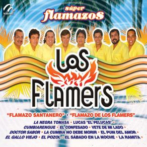 Download track Flamazo Santanero / Mi Razón / Amor De Cabaret / Estoy Pensando En Ti / Mi Adiós / Luces De Nueva York Los Flamers