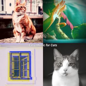 Download track Memories (Kittens) Easy Music For Cats