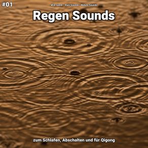 Download track Regen Sounds, Pt. 55 Nature Sounds