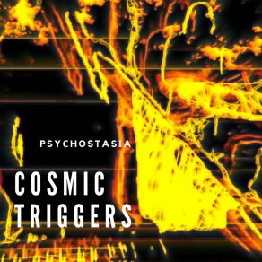 Download track Proton Decay Cosmic Triggers