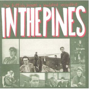 Download track In The Pines The Triffids, Alsy MacDonald, Evil Graham Lee, Robert McComb