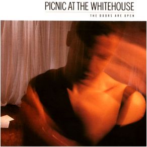 Download track I Wanna Be Picnic At The Whitehouse