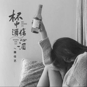 Download track 杯中酒伤心泪 (DJBanana版 伴奏) Banan