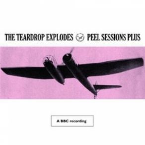 Download track Pure Joy Wins Out Again The Teardrop Explodes