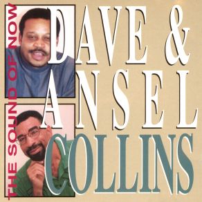 Download track I Won't Hold It Against You Dave & Ansel CollinsDave Barker