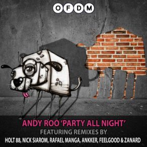 Download track Party All Night (Original Mix) Andy Roo