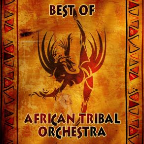 Download track Mbandkada Groove African Tribal Orchestra