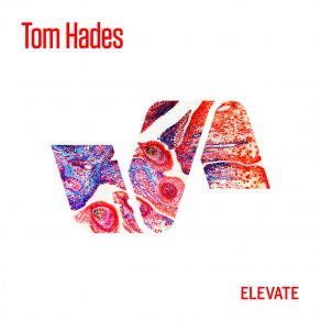 Download track Wake (Original Mix) Tom Hades