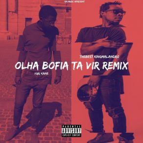 Download track Olha Bofia Ta Vit (Remix) Yury Kane