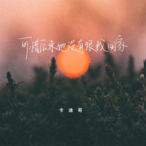 Download track 可惜后来她没有跟我回家 (伴奏) 卡迪哥