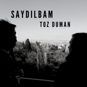 Download track Toz Duman Saydılbam