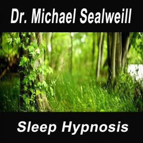 Download track Deep Sleep Lucid Dreaming For A Blissful Future (Focus By Fading Away In A Deeper Sleep!) Dr. Michael Sealweill