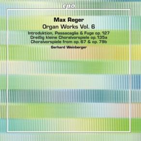 Download track 17 30 Little Chorale Preludes Op. 135a No. 15 Lobe Den Herren Den Mächtigen König Der Ehren Max Reger