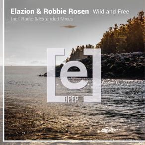 Download track Wild And Free (Radio Mix) Robbie Rosen