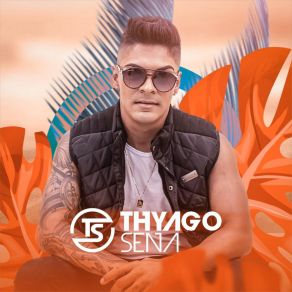 Download track Cabaré Da Cléo Thyago Sena